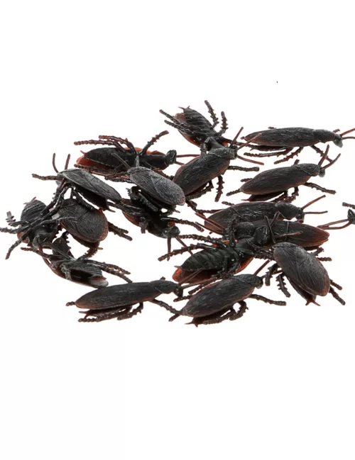 Photo du produit 12 Cafards noirs 6 cm Halloween