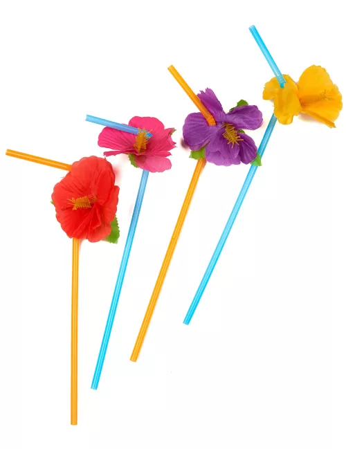 Photo du produit 12 pailles fleurs Hawai