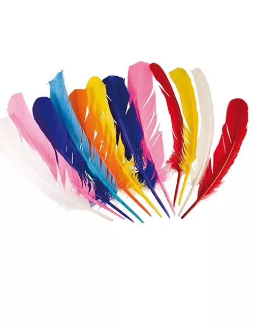 Photo du produit 12 Plumes indiennes multicolores 30 cm