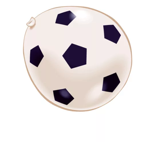 Photo du produit 8 Ballons football