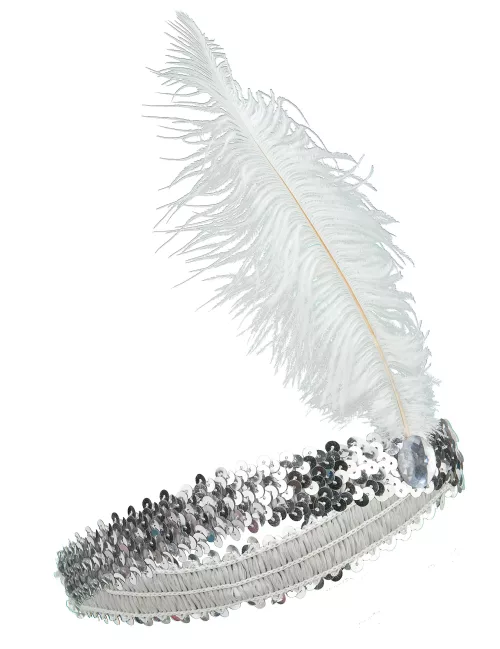 Photo du produit Bandeau Charleston à sequins et plume argenté femme