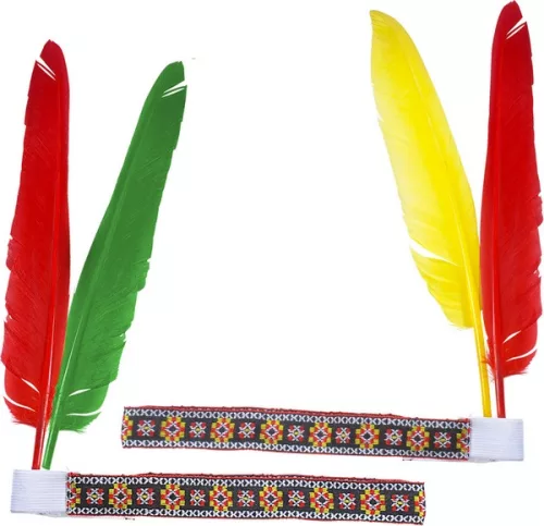 Photo du produit Bandeau indien avec plumes adulte