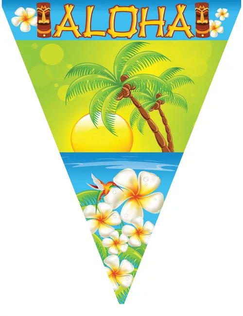 Photo du produit Guirlande fanions Aloha 5 m