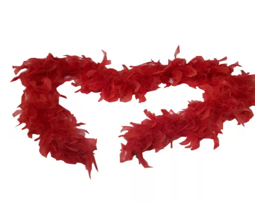 Photo du produit Boa rouge 100 cm