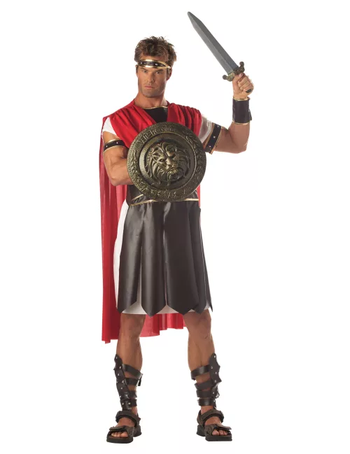 Photo du produit Bouclier et Epée de Combat gladiateur