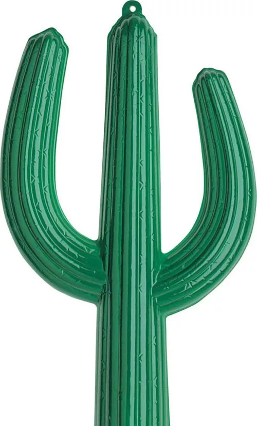 Photo du produit Cactus 36 X 62 cm