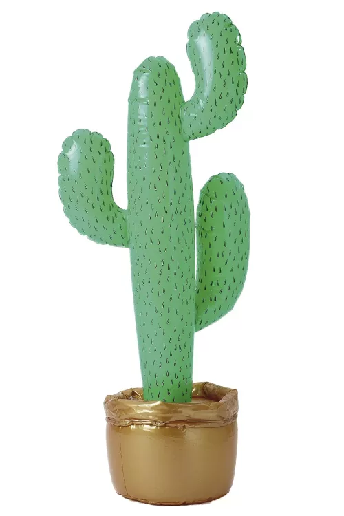 Photo du produit Cactus gonflable