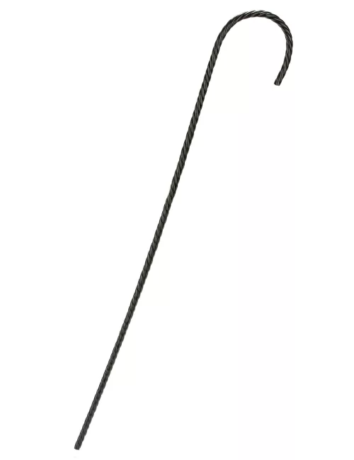 Photo du produit Canne noire striée adulte