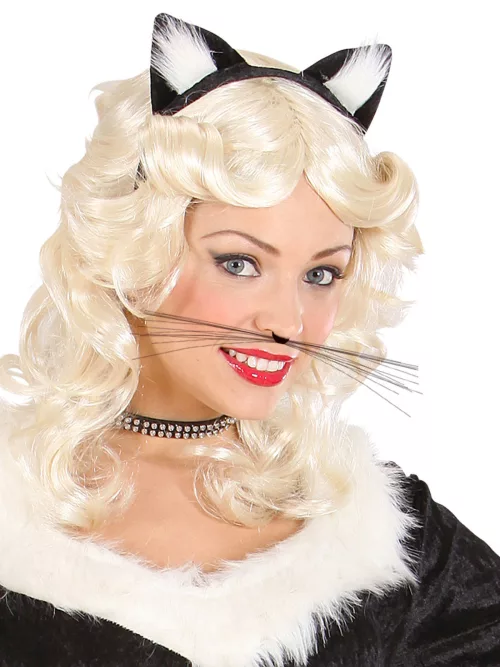 Photo du produit Moustache de chat noir adulte