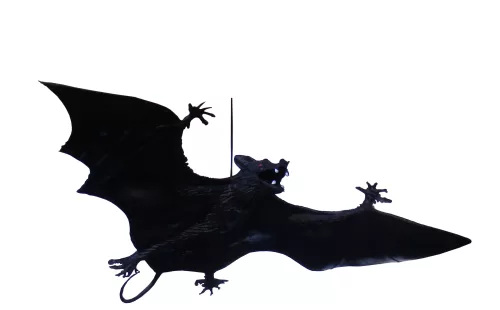 Photo du produit Chauve-souris à suspendre Halloween 23 cm