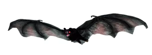 Photo du produit Chauve-souris volante