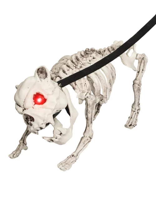 Photo du produit Chien squelette en laisse lumineux et sonore