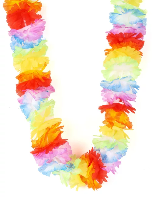 Photo du produit Collier Hawaï multicolore