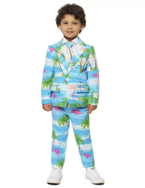 Photo du produit Costume Mr. Flamingo enfant Opposuits