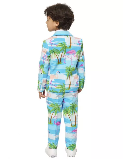 Photo du produit Costume Mr. Flamingo enfant Opposuits