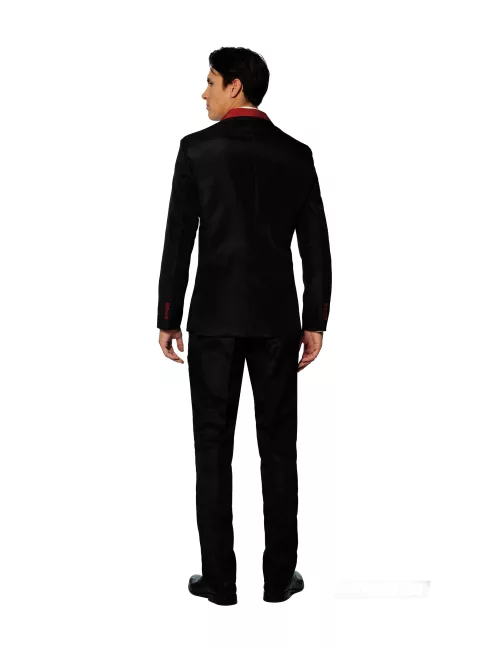 Photo du produit Costume Mr. Gryffondor adulte Suitmeister