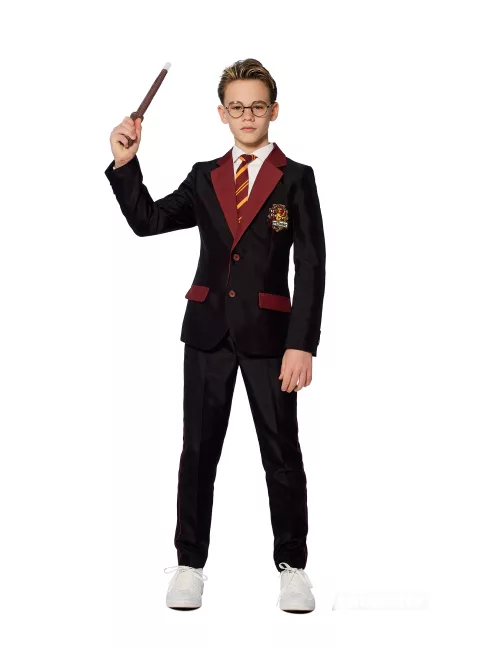 Photo du produit Costume Mr. Gryffondor enfant Suitmeister