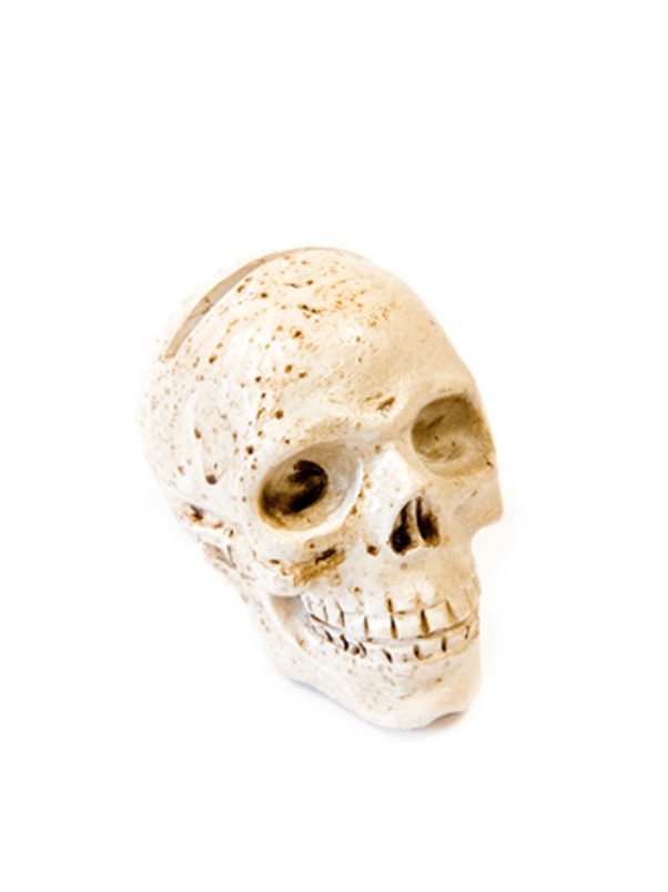 Photo du produit Marque place en résine Crâne 4,5 x 5,5 cm
