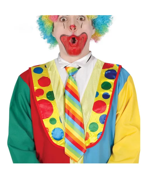 Photo du produit Cravate clown rayée multicolore adulte