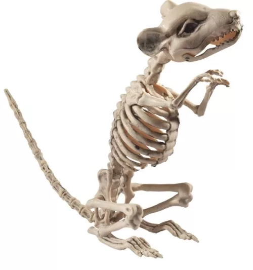 Photo du produit Décoration rat squelette Halloween