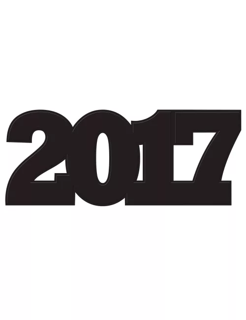 Photo du produit Décoration cartonnée 2017 40,5 cm