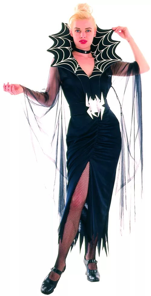 Photo du produit Déguisement araignée femme Halloween