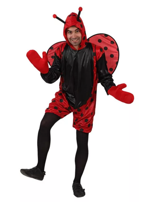 Photo du produit Déguisement coccinelle adulte