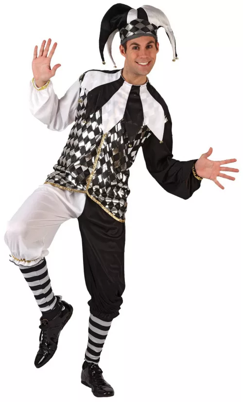 Photo du produit Déguisement arlequin homme