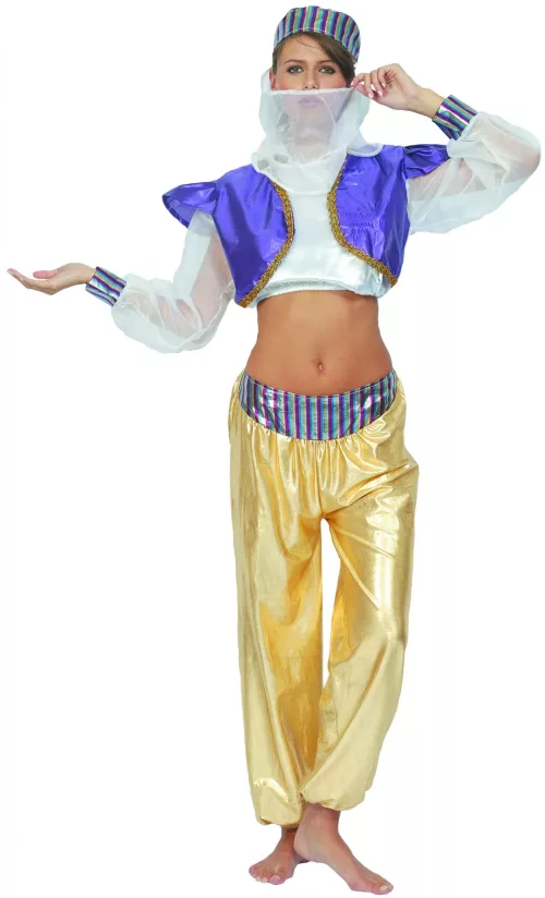 Photo du produit Déguisement danseuse orientale coloré femme
