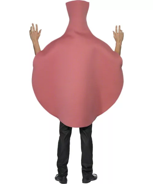Photo du produit Déguisement coussin péteur adulte