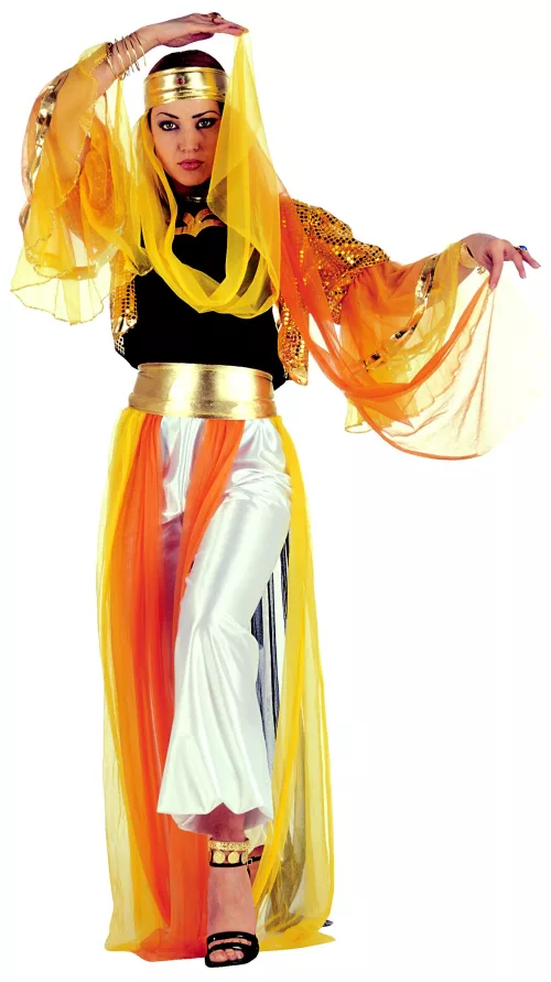 Photo du produit Déguisement danseuse orientale à voilage femme