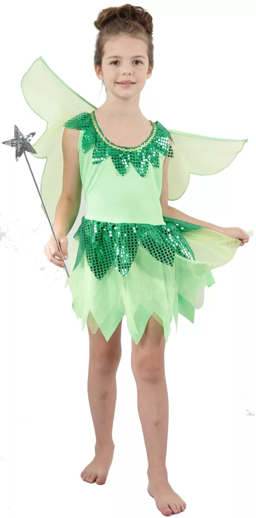 Photo du produit Déguisement fée verte voilage fille