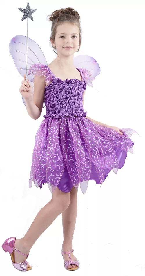 Photo du produit Déguisement fée violette fille