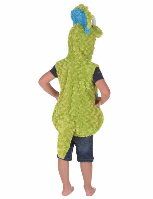 Photo du produit Déguisement dinosaure vert et bleu enfant