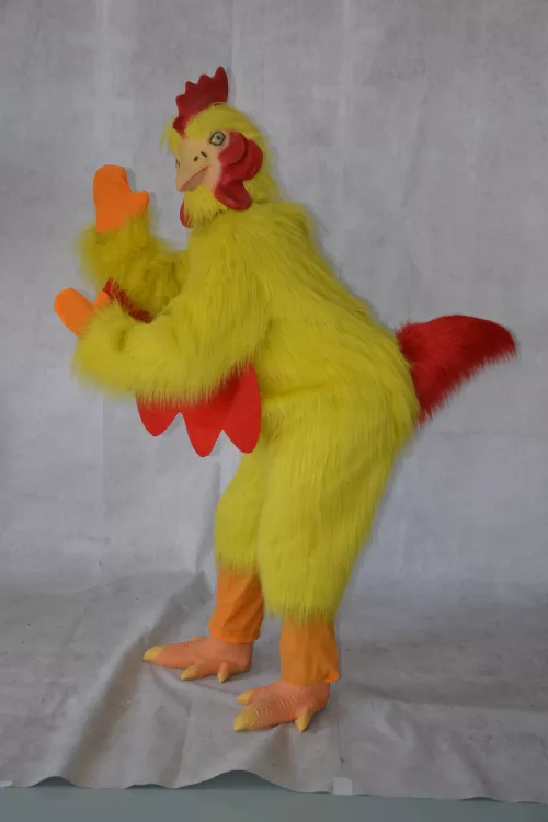 Photo du produit Déguisement poulet adulte