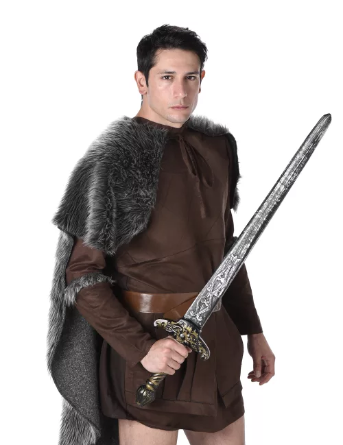 Photo du produit Déguisement prince viking homme