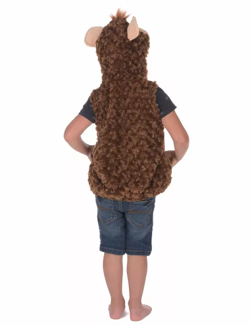 Photo du produit Déguisement singe peluche enfant