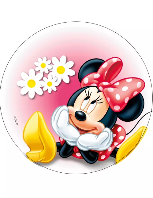 Photo du produit Disque en azyme Minnie modèle aléatoire 20 cm
