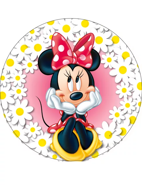 Photo du produit Disque en azyme Minnie modèle aléatoire 20 cm