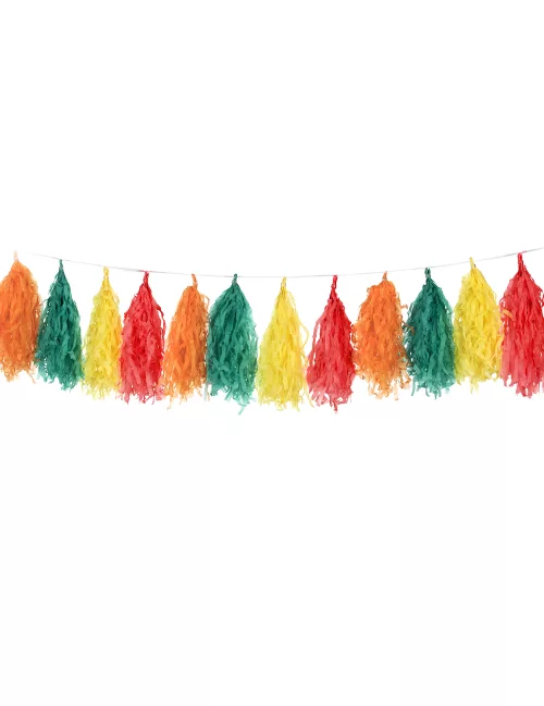 Photo du produit Guirlande tassel 16 pompons 1,80 m