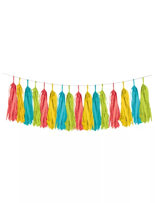 Photo du produit Guirlande tassel multicolore Fiesta 20,3cm x 2,5m