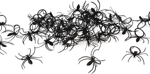 Photo du produit Lot 50 bagues araignées Halloween