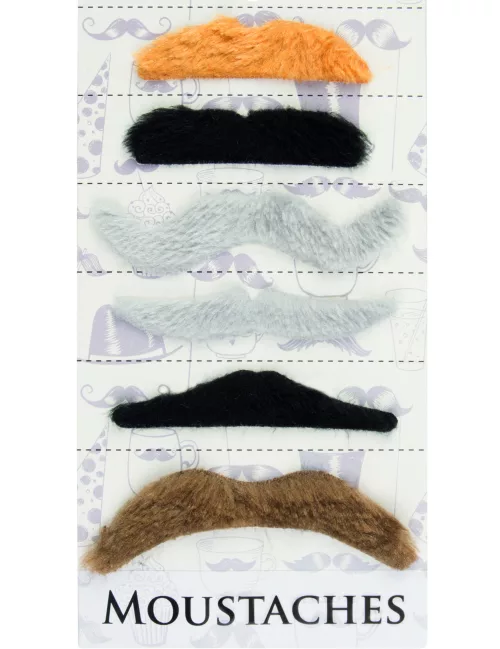 Photo du produit Lot 6 moustaches adhésives adulte