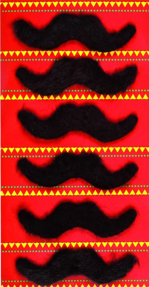 Photo du produit Lot 6 moustaches