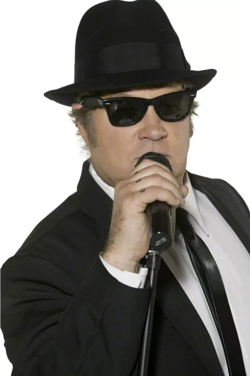 Photo du produit Lunettes noires Blues Brothers adulte