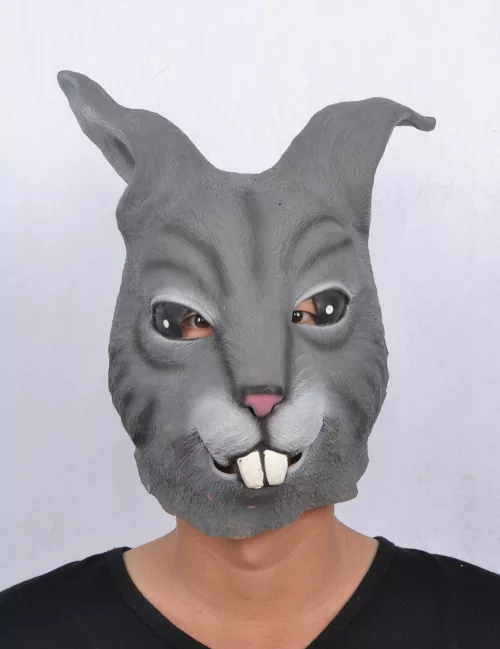 Photo du produit Masque latex lapin adulte