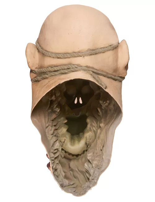 Photo du produit Masque latex zombie dévoreur adulte