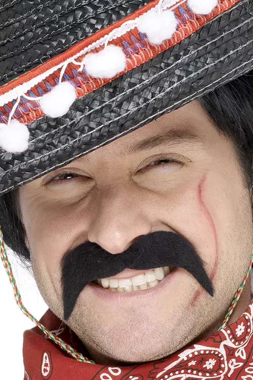 Photo du produit Moustache noire bandit mexicain adulte