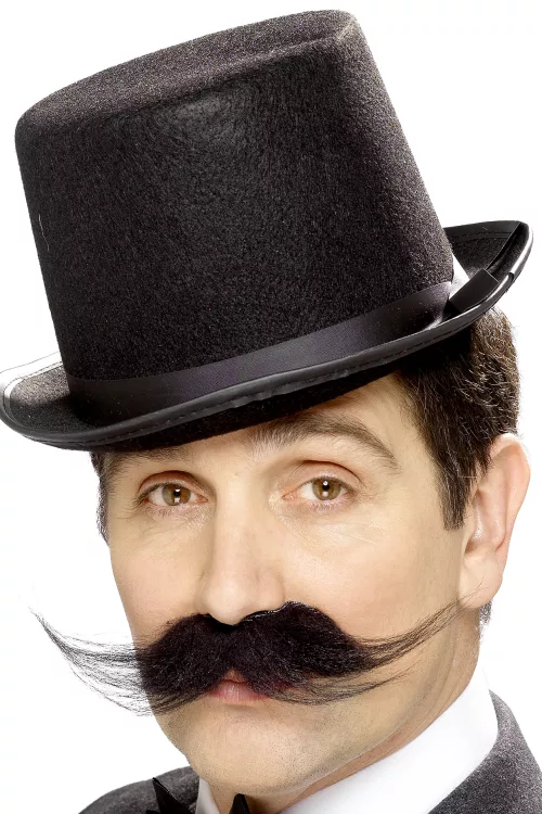 Photo du produit Moustache gentleman adulte