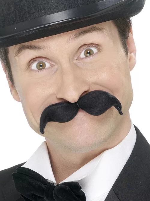 Photo du produit Moustache modelable adulte